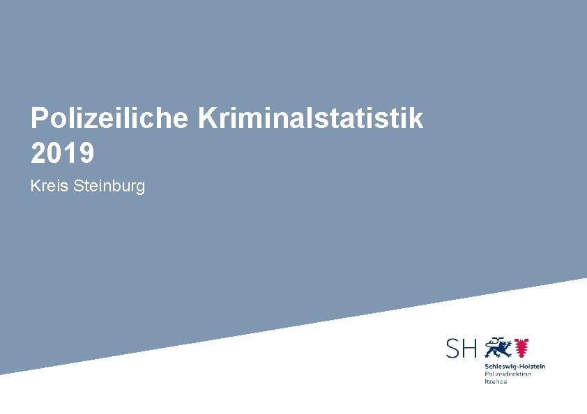 Polizeiliche Kriminalstatistik 2019 Kreis Steinburg 