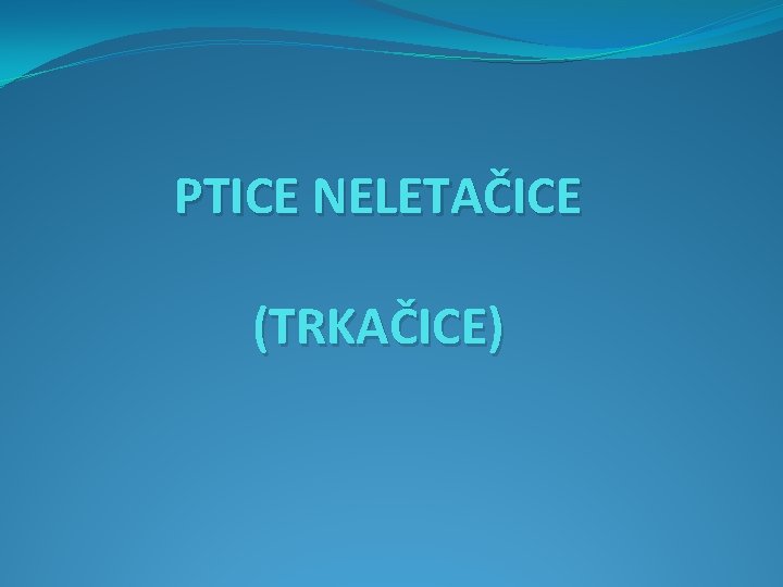 PTICE NELETAČICE (TRKAČICE) 