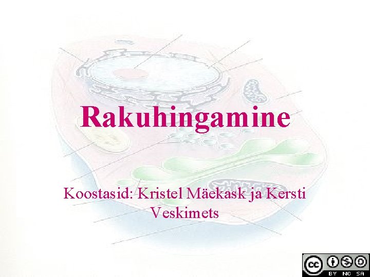 Rakuhingamine Koostasid: Kristel Mäekask ja Kersti Veskimets 