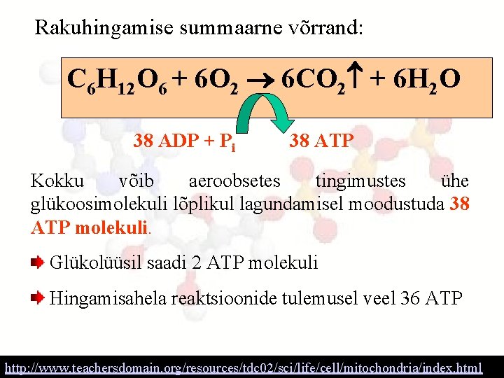 Rakuhingamise summaarne võrrand: C 6 H 12 O 6 + 6 O 2 6