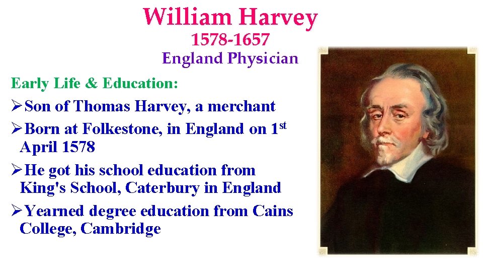 William Harvey 1578 -1657 England Physician Early Life & Education: ØSon of Thomas Harvey,
