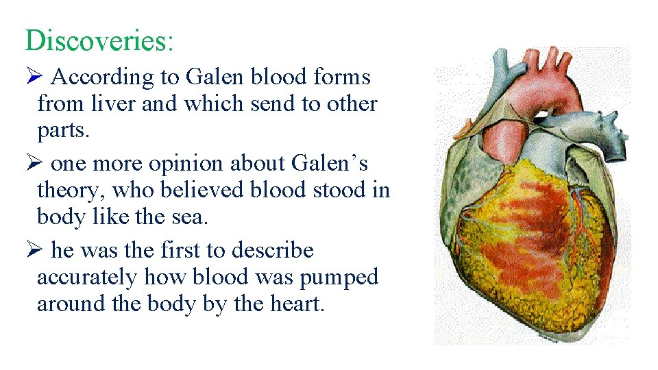 Discoveries: Ø According to Galen blood forms from liver and which send to other