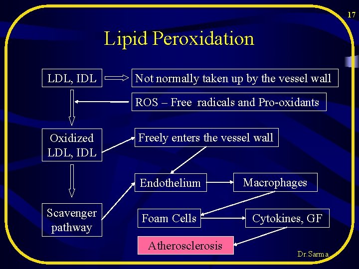 17 Lipid Peroxidation LDL, IDL Not normally taken up by the vessel wall ROS 17 Lipid Peroxidation LDL, IDL Not normally taken up by the vessel wall ROS