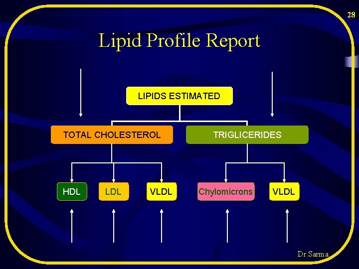 28 Lipid Profile Report LIPIDS ESTIMATED TOTAL CHOLESTEROL HDL LDL VLDL TRIGLICERIDES Chylomicrons VLDL 28 Lipid Profile Report LIPIDS ESTIMATED TOTAL CHOLESTEROL HDL LDL VLDL TRIGLICERIDES Chylomicrons VLDL
