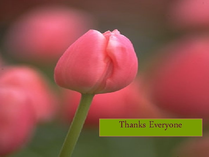 80 Thanks Everyone Dr. Sarma 80 Thanks Everyone Dr. Sarma