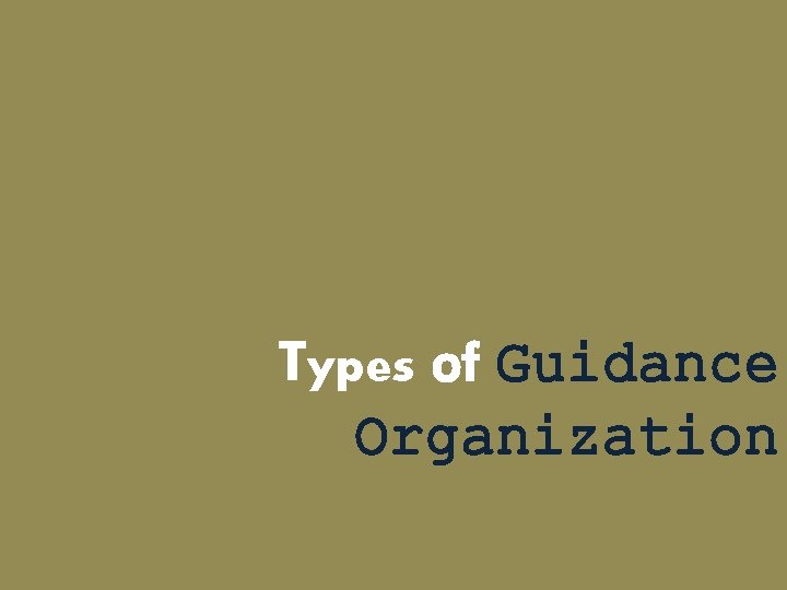 Types of Guidance Organization Types of Guidance Organization