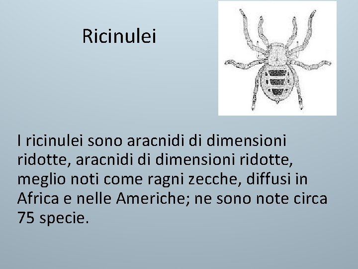 Ricinulei I ricinulei sono aracnidi di dimensioni ridotte, meglio noti come ragni zecche, diffusi Ricinulei I ricinulei sono aracnidi di dimensioni ridotte, meglio noti come ragni zecche, diffusi