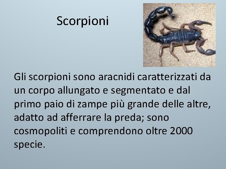 Scorpioni Gli scorpioni sono aracnidi caratterizzati da un corpo allungato e segmentato e dal Scorpioni Gli scorpioni sono aracnidi caratterizzati da un corpo allungato e segmentato e dal