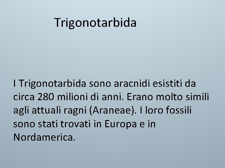 Trigonotarbida I Trigonotarbida sono aracnidi esistiti da circa 280 milioni di anni. Erano molto Trigonotarbida I Trigonotarbida sono aracnidi esistiti da circa 280 milioni di anni. Erano molto
