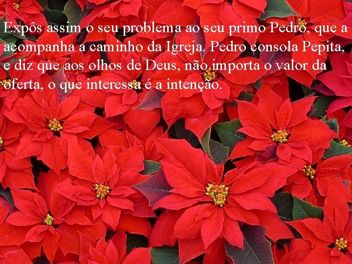 Expôs assim o seu problema ao seu primo Pedro, que a acompanha a caminho