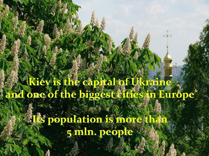 Kiev is the capital of Ukraine and one of the biggest cities in Europe