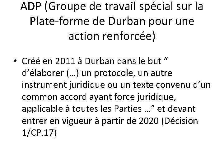 ADP (Groupe de travail spécial sur la Plate-forme de Durban pour une action renforcée)