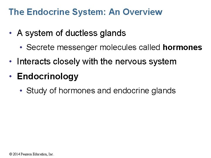 The Endocrine System: An Overview • A system of ductless glands • Secrete messenger