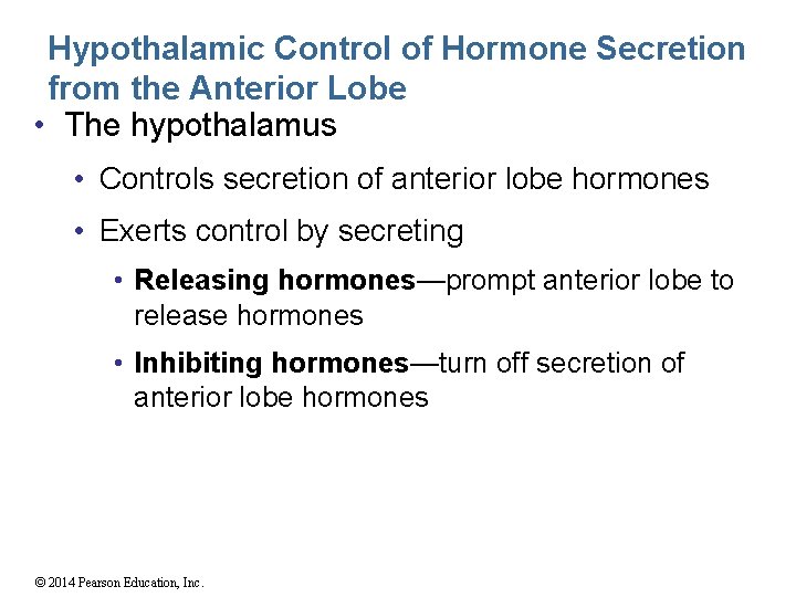 Hypothalamic Control of Hormone Secretion from the Anterior Lobe • The hypothalamus • Controls