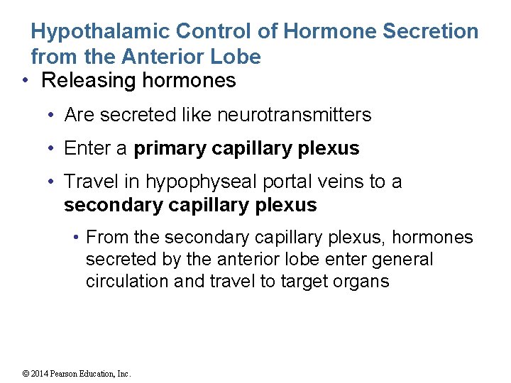 Hypothalamic Control of Hormone Secretion from the Anterior Lobe • Releasing hormones • Are