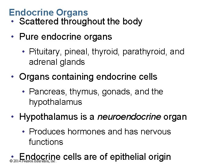 Endocrine Organs • Scattered throughout the body • Pure endocrine organs • Pituitary, pineal,