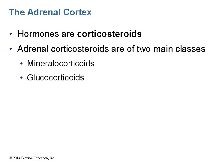 The Adrenal Cortex • Hormones are corticosteroids • Adrenal corticosteroids are of two main