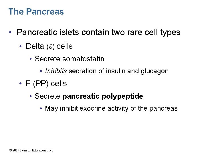 The Pancreas • Pancreatic islets contain two rare cell types • Delta (∂) cells