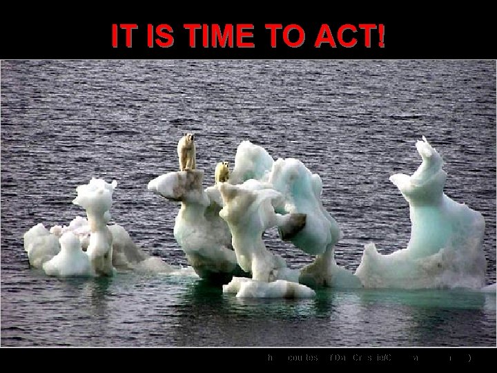 IT IS TIME TO ACT! (AP photo courtesy of Dan Crosbie/Canadian Ice Service) IT IS TIME TO ACT! (AP photo courtesy of Dan Crosbie/Canadian Ice Service)