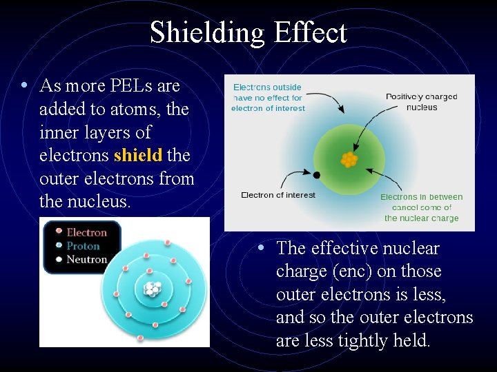 Shielding Effect • As more PELs are added to atoms, the inner layers of