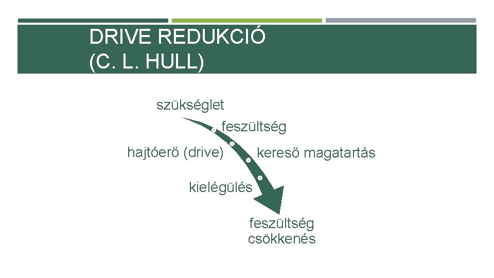 DRIVE REDUKCIÓ (C. L. HULL) szükséglet feszültség hajtóerő (drive) kereső magatartás kielégülés feszültség csökkenés