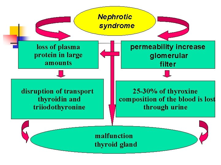 Nephrotic syndrome permeability increase glomerular filter loss of plasma protein in large amounts disruption