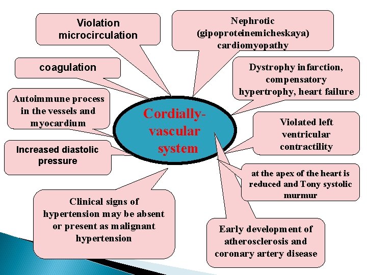 Nephrotic (gipoproteinemicheskaya) cardiomyopathy Violation microcirculation Dystrophy infarction, compensatory hypertrophy, heart failure coagulation Autoimmune process