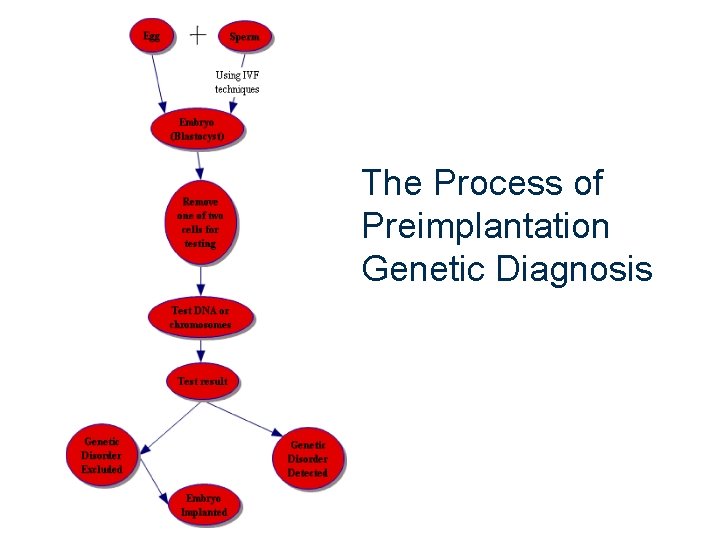 The Process of Preimplantation Genetic Diagnosis 