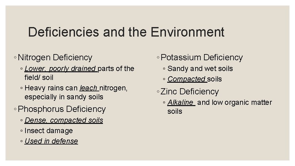 Deficiencies and the Environment ◦ Nitrogen Deficiency ◦ Lower, poorly drained parts of the