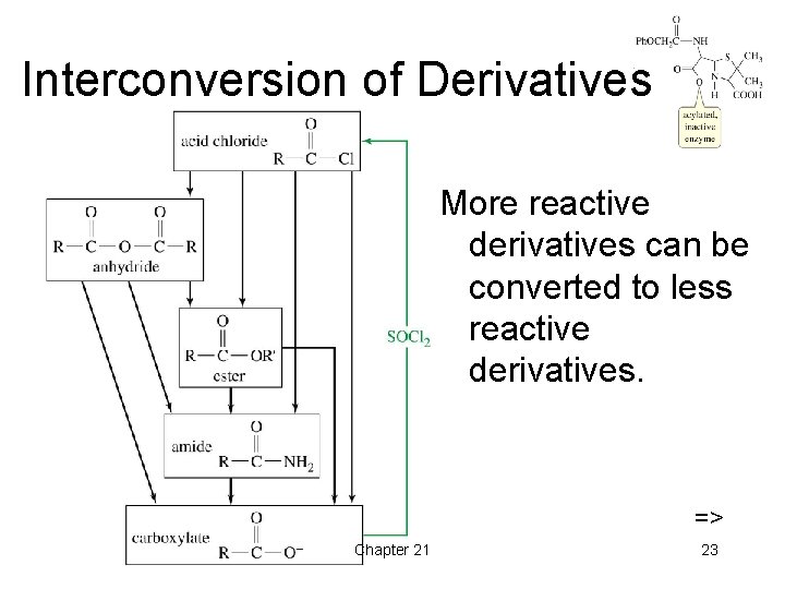Interconversion of Derivatives More reactive derivatives can be converted to less reactive derivatives. => Interconversion of Derivatives More reactive derivatives can be converted to less reactive derivatives. =>