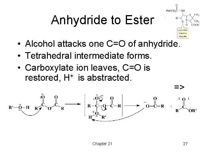 Anhydride to Ester • Alcohol attacks one C=O of anhydride. • Tetrahedral intermediate forms. Anhydride to Ester • Alcohol attacks one C=O of anhydride. • Tetrahedral intermediate forms.