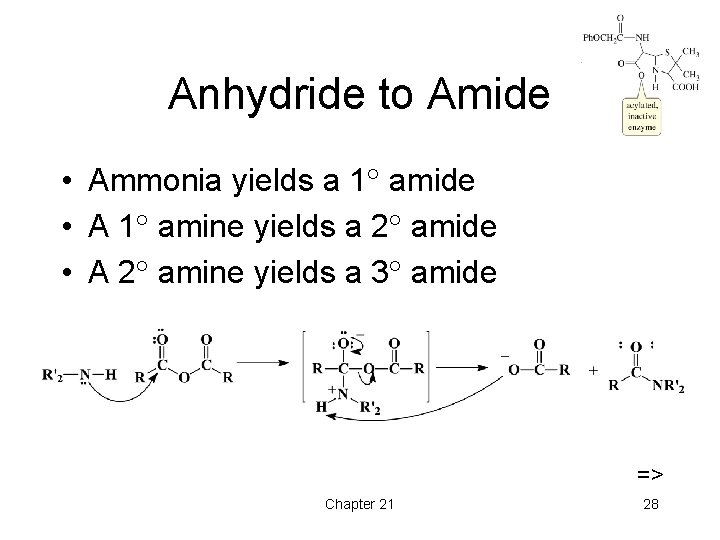 Anhydride to Amide • Ammonia yields a 1 amide • A 1 amine yields