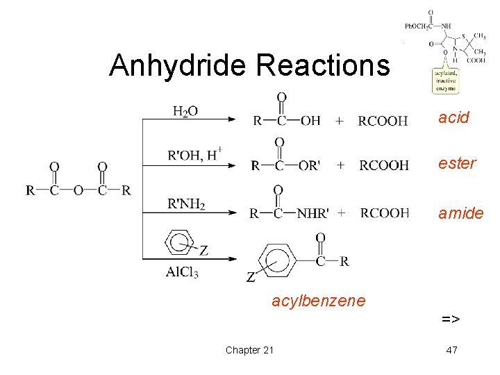 Anhydride Reactions acid ester amide acylbenzene => Chapter 21 47 