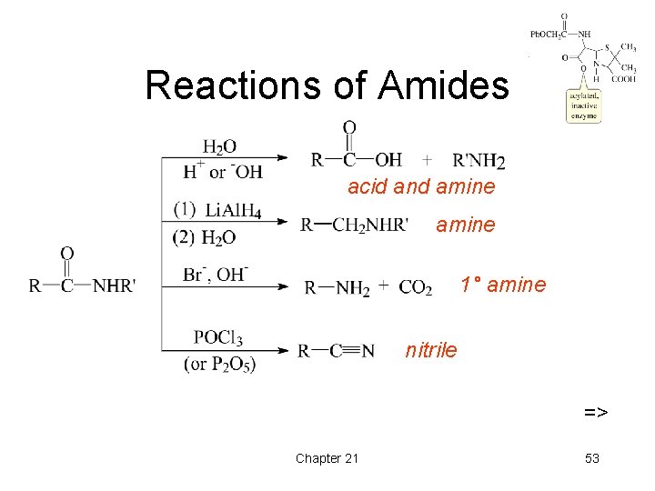Reactions of Amides acid and amine 1° amine nitrile => Chapter 21 53 Reactions of Amides acid and amine 1° amine nitrile => Chapter 21 53