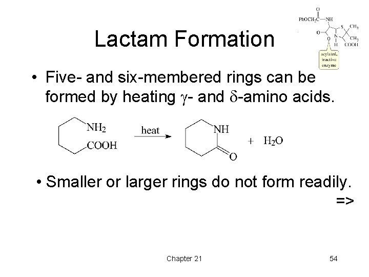 Lactam Formation • Five- and six-membered rings can be formed by heating - and