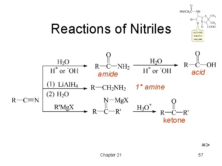Reactions of Nitriles acid amide 1° amine ketone => Chapter 21 57 