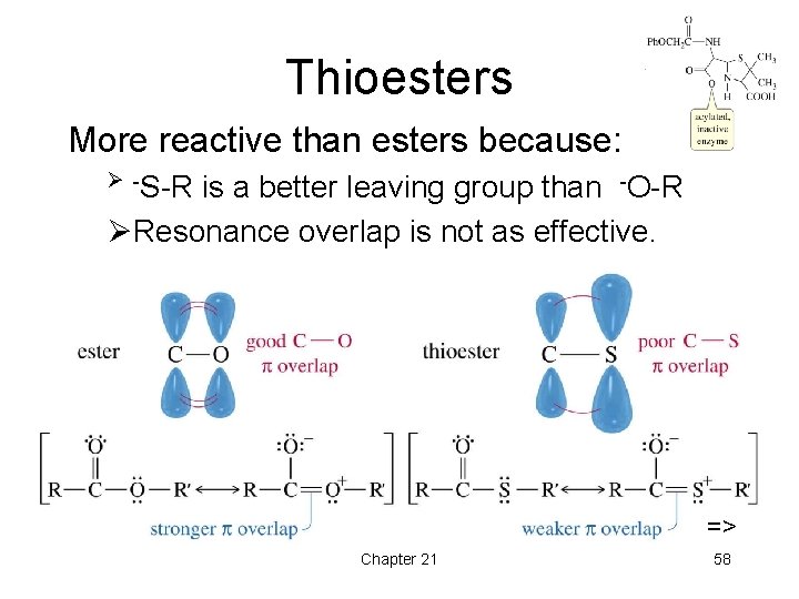 Thioesters More reactive than esters because: Ø -S-R is a better leaving group than