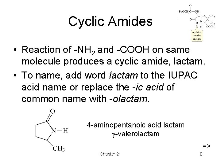 Cyclic Amides • Reaction of -NH 2 and -COOH on same molecule produces a