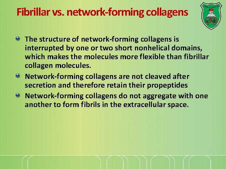 Fibrillar vs. network-forming collagens The structure of network-forming collagens is interrupted by one or