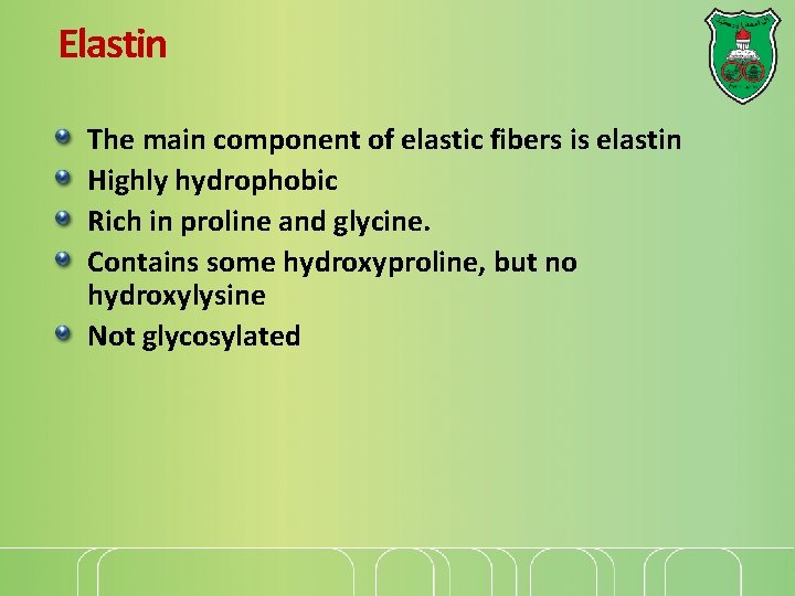 Elastin The main component of elastic fibers is elastin Highly hydrophobic Rich in proline