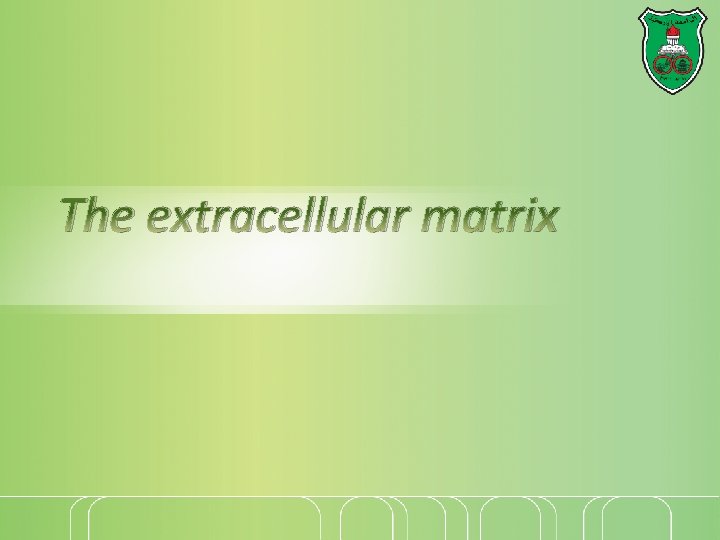 The extracellular matrix 