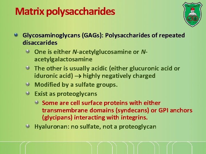 Matrix polysaccharides Glycosaminoglycans (GAGs): Polysaccharides of repeated disaccarides One is either N-acetylglucosamine or Nacetylgalactosamine