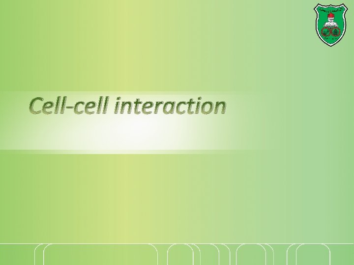 Cell-cell interaction 