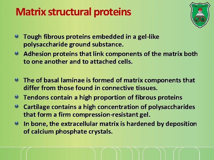 Matrix structural proteins Tough fibrous proteins embedded in a gel-like polysaccharide ground substance. Adhesion