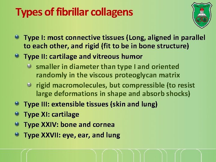 Types of fibrillar collagens Type I: most connective tissues (Long, aligned in parallel to