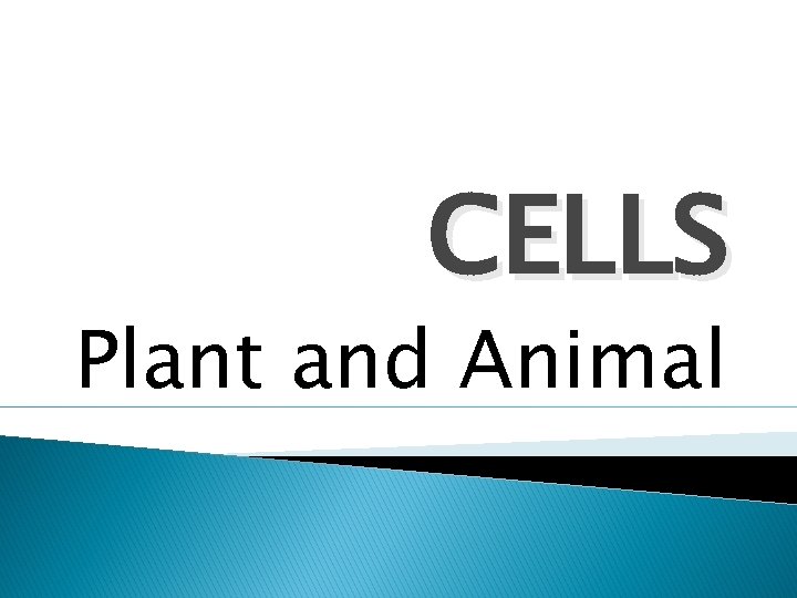 CELLS Plant and Animal 