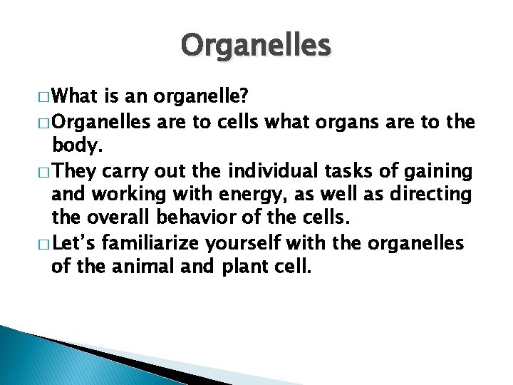 Organelles � What is an organelle? � Organelles are to cells what organs are