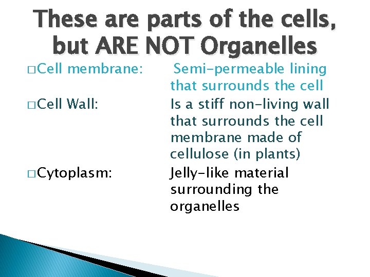 These are parts of the cells, but ARE NOT Organelles � Cell membrane: �