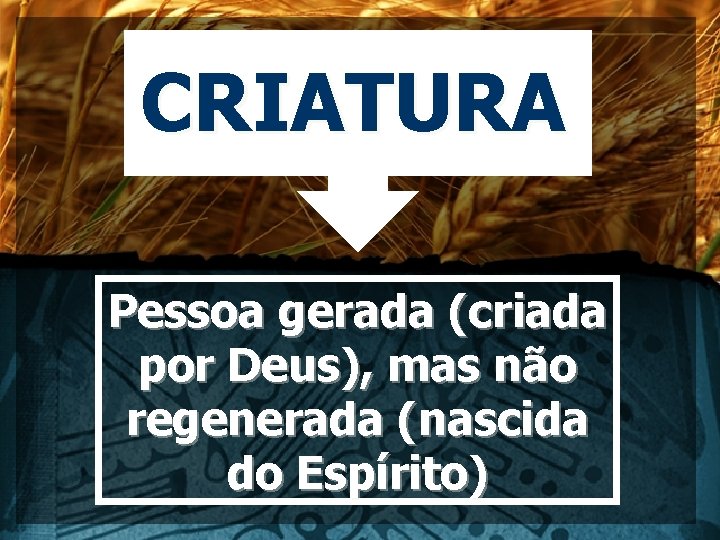 CRIATURA Pessoa gerada (criada por Deus), mas não regenerada (nascida do Espírito) 