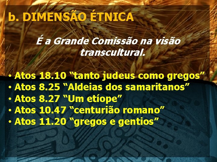 b. DIMENSÃO ÉTNICA É a Grande Comissão na visão transcultural. • • • Atos